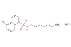 eMolecules​ 61714-27-0 | Medchem Express | W-7 (hydrochloride) | 25mg |
