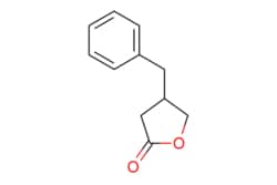 eMolecules​ AstaTech / 4-BENZYLOXOLAN-2-ONE / 0.25g / 290670739 / I11257