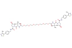 eMolecules​&nbsp;AstaTech / CM 11 / 1mg / 718057966 / D81068 / 95.000 / 2244684-49-7 / [null] / 1179.460 / C58H82N8O14S2