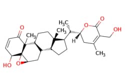 eMolecules​ 5119-48-2 | Medchem Express | Withaferin A | 1mg | 446275677