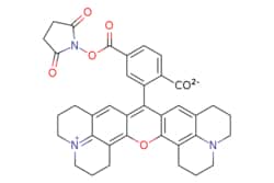 eMolecules​&nbsp;117491-83-5 | ROX NHS ester, 6- isomer | Broadpharm | MFCD11858234 | 631.685 | C37H33N3O7 | 96.000 | [O-]C(=O)c1ccc(cc1C1=c2cc3CCC[N+]4=c3c(CCC4)c2Oc2c3CCCN4CCCc(cc12)c34)C(=O)ON1C(=O)CCC1=O | 1mg | 296213723