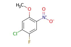 eMolecules​ 1934402-19-3 | AstaTech | 1-CHLORO-2-FLUORO-5-METHOXY-4-NITRO-BENZENE