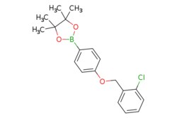 eMolecules​ ChemScene / 2-(4-((2-Chlorobenzyl)oxy)phenyl)-4455-tetramethyl-132-dioxaborolane