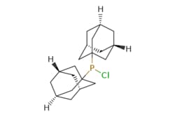 eMolecules​ AstaTech / DI-1-ADAMANTYLCHLOROPHOSPHINE / 0.25g / 392636038