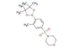 eMolecules​ Ambeed / 4-((3-Methyl-4-(4455-tetramethyl-132-dioxaborolan-2-yl)phenyl)sulfonyl)morpholine