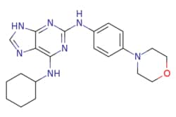 eMolecules​&nbsp;Medchem Express / Reversine / 5mg / 446264460 / HY-14711 /  / 656820-32-5 / MFCD09953189 / 393.495 / C21H27N7O