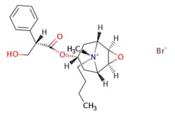 eMolecules​ AstaTech / SCOPOLAMINE BUTYLBROMIDE / 1g / 381453340 / F17660