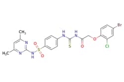 eMolecules​&nbsp;Medchem Express / ZCL278 / 10mg / 446263775 / HY-13963 /  / 587841-73-4 / MFCD03623090 / 584.890 / C21H19BrClN5O4S2