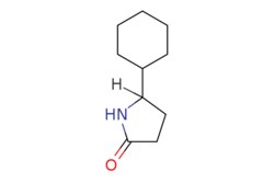eMolecules​ Synthonix / 5-cyclohexylpyrrolidin-2-one / 50mg / 794074600