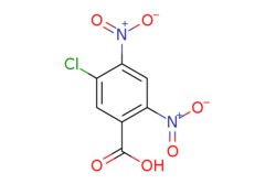 eMolecules​ AstaTech / 5-CHLORO-24-DINITROBENZOIC ACID / 1g / 381452953