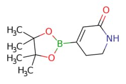 eMolecules​ Pharmablock / 4-(4455-tetramethyl-132-dioxaborolan-2-yl)-23-dihydro-1H-pyridin-6-one