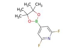 eMolecules​ 1204333-58-3 | Ambeed | 26-Difluoro-4-(4455-tetramethyl-132-dioxaborolan-2-yl)pyridine