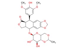 eMolecules​ AstaTech / ETOPOSIDE / 0.25g / 718054718 / 41049 / 99.000 /