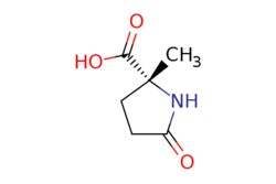 eMolecules​ Pharmablock / (2R)-2-methyl-5-oxopyrrolidine-2-carboxylic acid