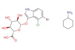 eMolecules​ 114162-64-0 | Medchem Express | X-Gluc (cyclohexanamine) |