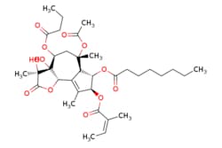eMolecules​ Medchem Express / Thapsigargin / 1mg / 437899385 / HY-13433 /  / 67526-95-8 / MFCD00083511 / 650.762 / C34H50O12