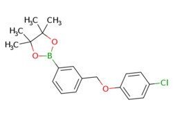 eMolecules​ ChemScene / 2-(3-((4-Chlorophenoxy)methyl)phenyl)-4455-tetramethyl-132-dioxaborolane