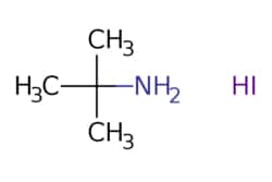 eMolecules​ AstaTech / TERT-BUTYLAMINE HYDROIODIDE / 0.25g / 448278773
