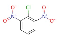 eMolecules​ 606-21-3 | AstaTech | 2-CHLORO-13-DINITROBENZENE | 1g | 387752265