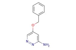 eMolecules​ Pharmablock / 5-(benzyloxy)pyridazin-3-amine / 25mg / 788479980