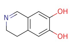 eMolecules​ AstaTech / 67-DIHYDROXY-34-DIHYDROISOQUINOLINE / 0.25g / 386841637