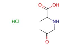 eMolecules​ ChemScene / 5-oxopiperidine-2-carboxylic acid hydrochloride