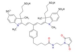 eMolecules​ Broadpharm / IR 650 Maleimide / 1mg / 713699988 / BP-28160