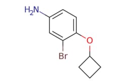 eMolecules​ 1247716-37-5 | ChemScene | 3-Bromo-4-cyclobutoxyaniline | 100mg