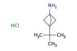 eMolecules​ Pharmablock / 3-tert-butylbicyclo[1.1.1]pentan-1-amine hydrochloride