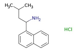 eMolecules​ ChemScene / 3-Methyl-1-(naphthalen-1-yl)butan-1-amine hydrochloride