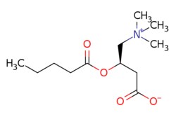 eMolecules​&nbsp;Medchem Express / Valerylcarnitine / 5mg / 446276299 / HY-113266 /  / 40225-14-7 / [null] / 245.319 / C12H23NO4