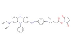 eMolecules​ Broadpharm / UBQ-3 NHS Ester / 5mg / 713699845 / BP-28114 /
