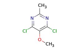eMolecules​ Ambeed / 46-Dichloro-5-methoxy-2-methylpyrimidine / 1g / 559760279