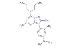 eMolecules​ Medchem Express / R121919 / 5mg / 446263861 / HY-14127 / /