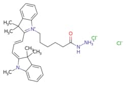 eMolecules​ Broadpharm / Cy3 hydrazide / 1mg / 296213684 / BP-22572 / 96.000