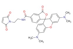 eMolecules​ Broadpharm / TAMRA maleimide 5-isomer / 1mg / 761705728 / BP-28925