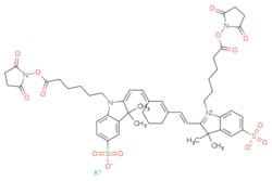 eMolecules​&nbsp;Broadpharm / Sulfo-Cy7 bis-NHS ester / 1mg / 761705603 / BP-28890 /  /  / [null] / 1041.240 / C50H57KN4O14S2