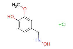 eMolecules​ AstaTech / 4-((HYDROXYAMINO)METHYL)-2-METHOXYPHENOL HYDROCHLORIDE / 0.1g / 696745948 / E77799 / 95.000 / 201931-70-6 / [null] / 205.640 / C8H12ClNO3