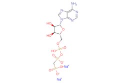 eMolecules​ Medchem Express / AMP-PCP (disodium) / 1mg / 523883195 / HY-106723A