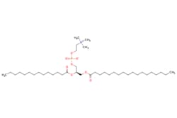 eMolecules​ Broadpharm / SMPC / 50mg / 654743380 / BP-26327 / / 20664-02-2