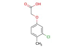 eMolecules​ 588-21-6 | ChemScene | 2-(3-Chloro-4-methylphenoxy)acetic acid