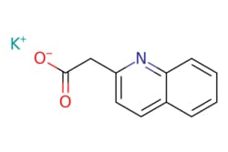 eMolecules​ AstaTech / POTASSIUM 2-(QUINOLIN-2-YL)ACETATE / 0.25g / 323606596 / O12047 / 95.000 / 1251919-70-6 / MFCD22196482 / 225.288 / C11H8KNO2