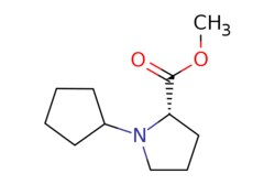 eMolecules​&nbsp;1485728-95-7 | ChemScene |  1-Cyclopentyl-L-proline methyl ester |  250mg | 726024206 |  CS-0486348 | 197.278 |  C11H19NO2
