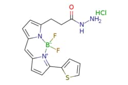 eMolecules Broadpharm / BDP 558/568 hydrazide / 1mg / 761705740 / BP-28928
