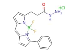 eMolecules Broadpharm / BDP R6G hydrazide / 1mg / 761705744 / BP-28929
