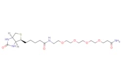 eMolecules Broadpharm / Biotin-PEG4-Amide / 50mg / 573896512 / BP-23222