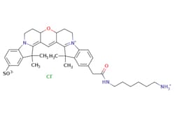 eMolecules​&nbsp;Broadpharm / Cy3B amine / 1mg / 761705801 / BP-28944 /  /  / [null] / 695.320 / C37H47ClN4O5S