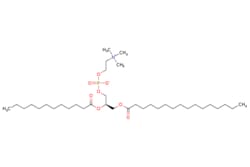 eMolecules​ Broadpharm / PLPC / 100mg / 779524188 / BP-29619 / 98.000 /