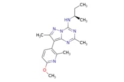 eMolecules​ 459856-18-9 | Ambeed | N-((R)-sec-Butyl)-8-(6-methoxy-2-methylpyridin-3-yl)-27-dimethylpyrazolo[15-a][135]triazin-4-amine