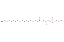 eMolecules Broadpharm / 180 Lyso PE / 5mg / 779524141 / BP-29602 / / 69747-55-3